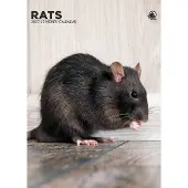 CalendarsRUs Ratten A3 Kalender 2027