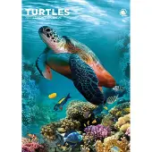CalendarsRUs Schildkröten A3-Kalender 2027