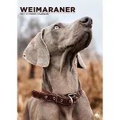 CalendarsRUs Weimaraner A3 Kalender 2027