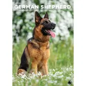 CalendarsRUs Deutscher Schäferhund A3-Kalender 2027