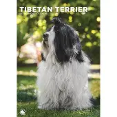 CalendarsRUs Tibet-Terrier A3 Kalender 2027