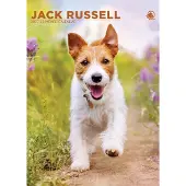 CalendarsRUs Jack Russell Terrier A3 Kalender 2027