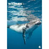 CalendarsRUs Wale A3-Kalender 2027