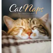 CAROUSEL CALENDARS Cat Naps Schreibtischkalender 2027