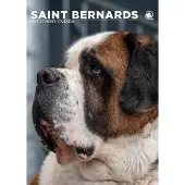 CalendarsRUs Sint Bernard A3-Kalender 2027