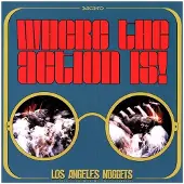 Warner Music Where The Action Is!Los Angeles Nuggets Highlights