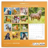 Presco Pferdekalender 2027