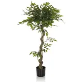 Hjh OFFICE Ficus I