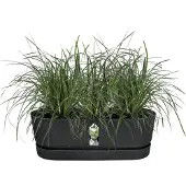 Elho Greenville Schwarzer Pflanztopf - Durchmesser 52 cm