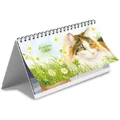 Comello Franciens Katzen Schreibtischkalender 2027