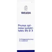 Weleda Prunus Spinos Summit Rh D3 20 ML