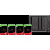 Synology DS925+ + Seagate Ironwolf 12 TB 4er-Pack