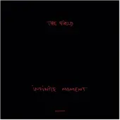 Ginza.se Infinite Moment (2LP/180g+MP3)
