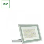 Spectrum LED Strahler Weiß - 100W IP65 - Lichtfarbe optional