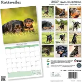 Baker & Bray Rottweiler Kalender 2027