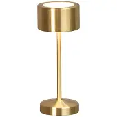 Fischer Leuchten LED Außen Innen Tischleuchte, Fernbedienung, Akku, dimmbar, H 20 cm