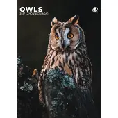 CalendarsRUs Eulen A3-Kalender 2027