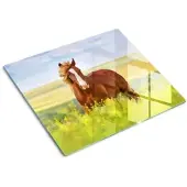 Tulup GLASPLATTE 60x52 cm Braunes Pferd