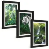 Tulup BILDER SET 3er Set - 20x30 cm Schwarzer Rahmen - Dschungeltigerwasserfall