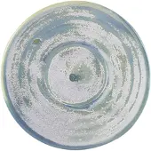 Genware Terra Porcelain Seafoam Untertassen 11,5 Cm