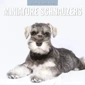 Red Robin Miniatur-Schnauzer Kalender 2027