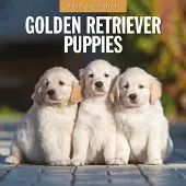 Red Robin Golden-Retriever-Welpen Kalender 2027