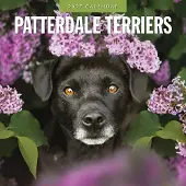 Red Robin Patterdale-Terrier Kalender 2027