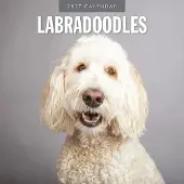 Red Robin Labradoodle-Kalender 2027