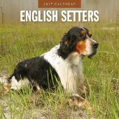 Red Robin English-Setter Kalender 2027