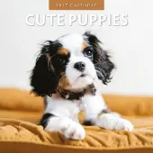 Red Robin Cute Puppies Kalender 2027