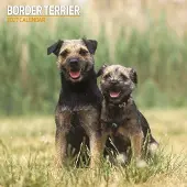 Magnet & Steel Border-Terrier Kalender 2027