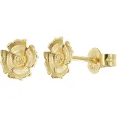 Trendor 21999 Damen-Ohrringe Florale Ohrstecker 925 Silber Vergoldet