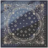 Codello Modetuch "Tuch" mit Paisley-Muster
