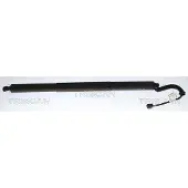 TRISCAN Gasfeder, Koffer-/Laderaum 8710 29343