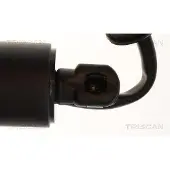 TRISCAN Gasfeder, Koffer-/Laderaum 8710 28312