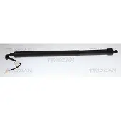 TRISCAN Gasfeder, Koffer-/Laderaum 8710 28311