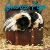 Magnet & Steel Meerschweinchen Kalender 2027