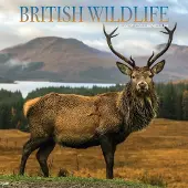 Magnet & Steel Britische Tierwelt Kalender 2027