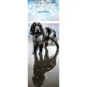 Magnet & Steel Englischer Springer Spaniel Kalender 2027 Slimline