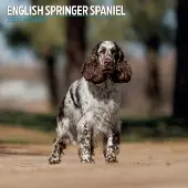 Magnet & Steel Englischer Springer Spaniel Kalender 2027