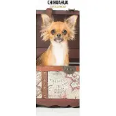 Magnet & Steel Chihuahua-Kalender 2027 Slimline