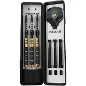 Pegasi Dartpfeile Set 22 g Golden Skull
