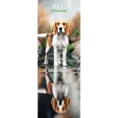 Magnet & Steel Beagle-Kalender 2027 Slimline