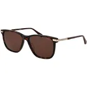 Gant Sonnenbrille GA00005 5552E