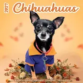 Plenty Gifts Chihuahua Studio Kalender 2027