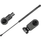 Meyle Gasfeder, Motorhaube 1401610816 für VW
