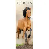 Avonside Publishing Ltd. Pferde Kalender 2027 Slimline