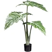 Creativ Green künstliche Pflanze Colocasia White lava, ca 130cm