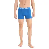 Icebreaker - Anatomica Boxers - Merinounterwäsche Gr L blau