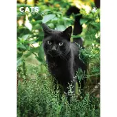 CalendarsRUs Katzen A3 Kalender 2027